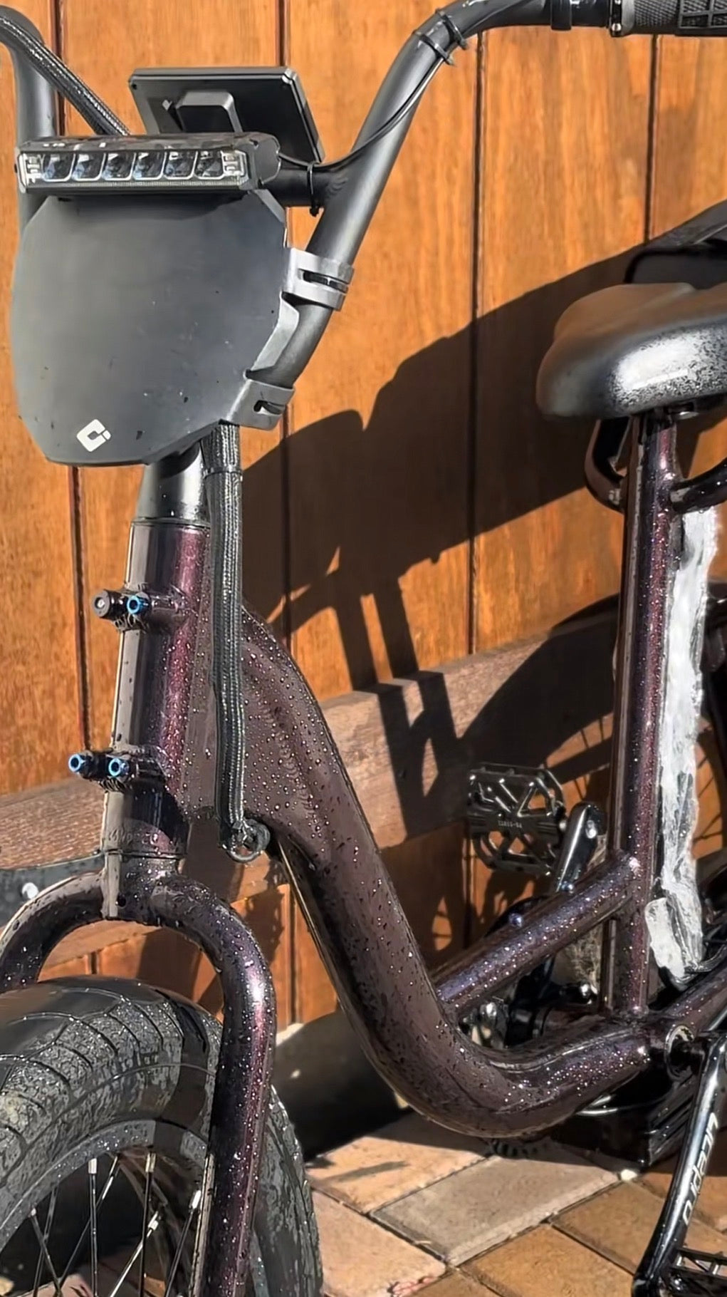 Rad Titanium Bolt Kit (Pre-Order)